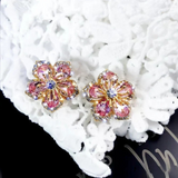 Boucles d'oreilles avec des pierres colorées
